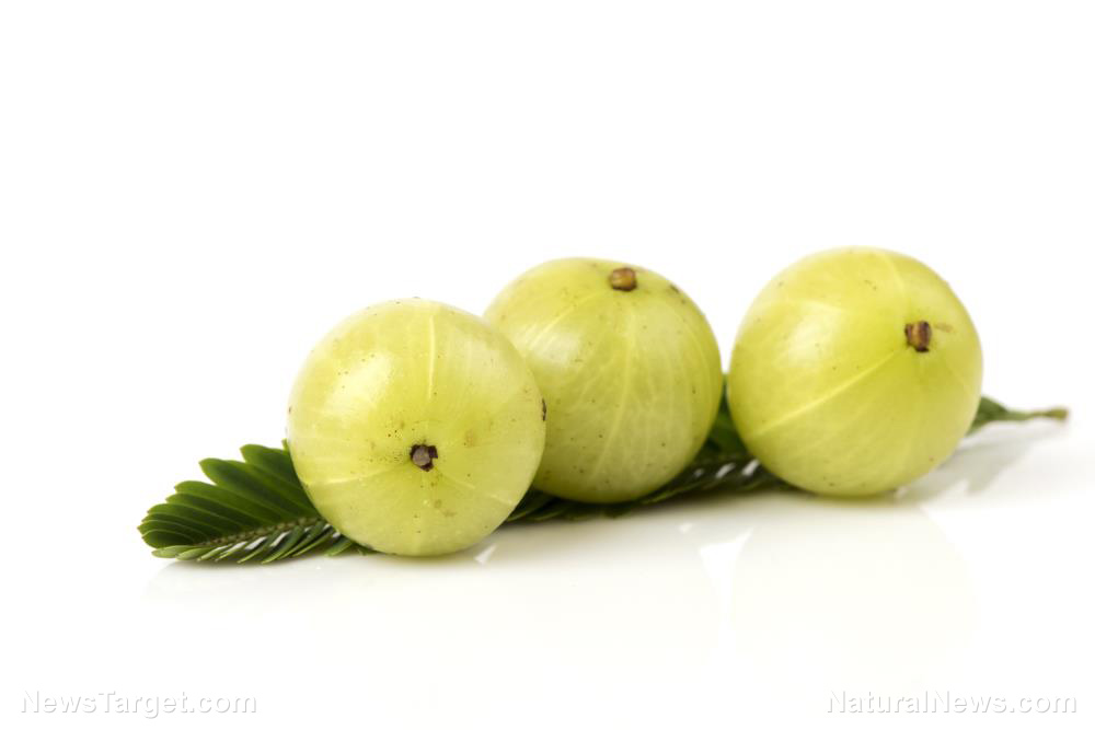 Manage Your Cholesterol Levels With Indian Gooseberry